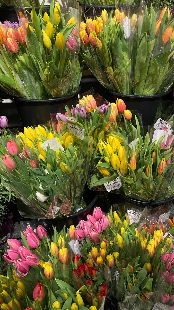 Publix florist best sale