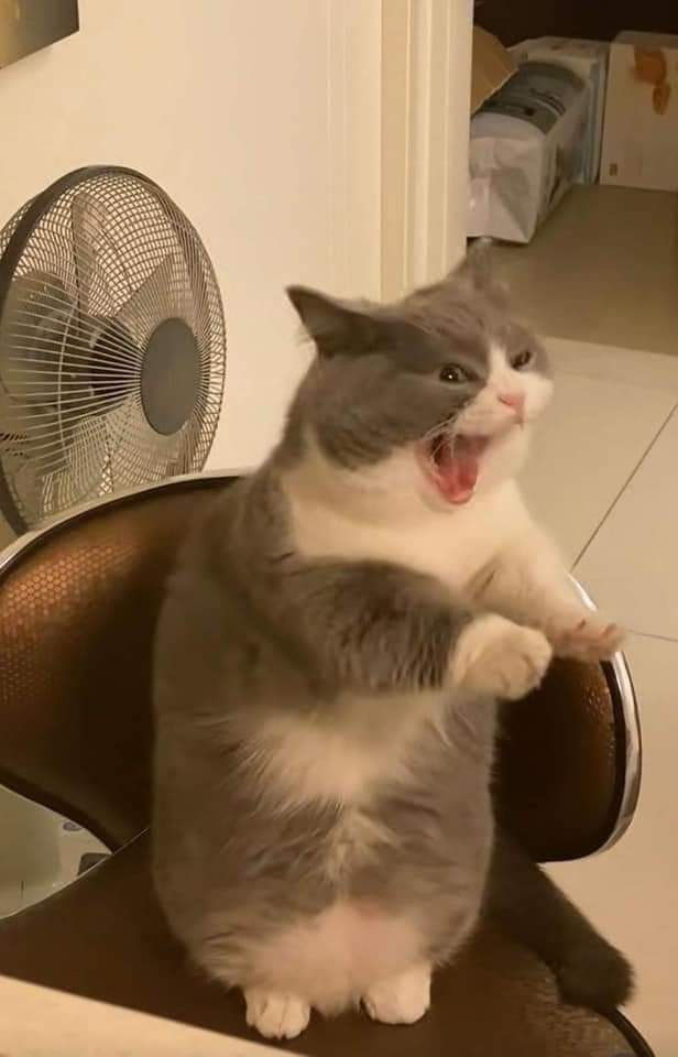 ColourPopCo's tweet image. another week i am unprepared for