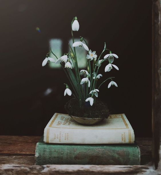 MayaCPopa's tweet photo. "If people did not love one another, I really don't see what use there would be in having any spring."

— Victor Hugo https://t.co/SpL6SUMDIR