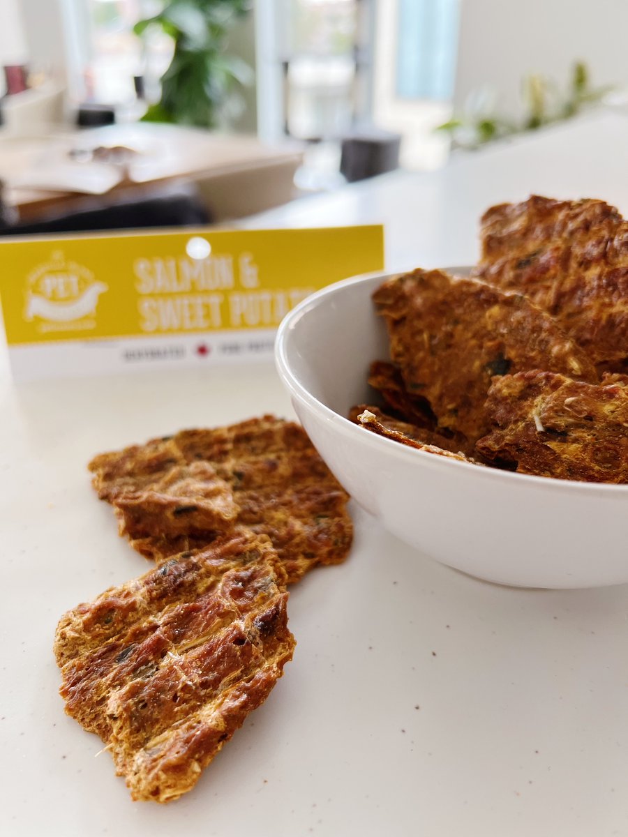 tgipt's tweet image. #Textureshot of our Dehydrated #Salmon &amp;amp; #SweetPotato treats blessing your feed ✨

Besides being perfectly brittle (great for breaking into smaller pieces), these are a knockout combo of functional protein &amp;amp; carbs that work as great as they taste.

What's your dog's go-to?
