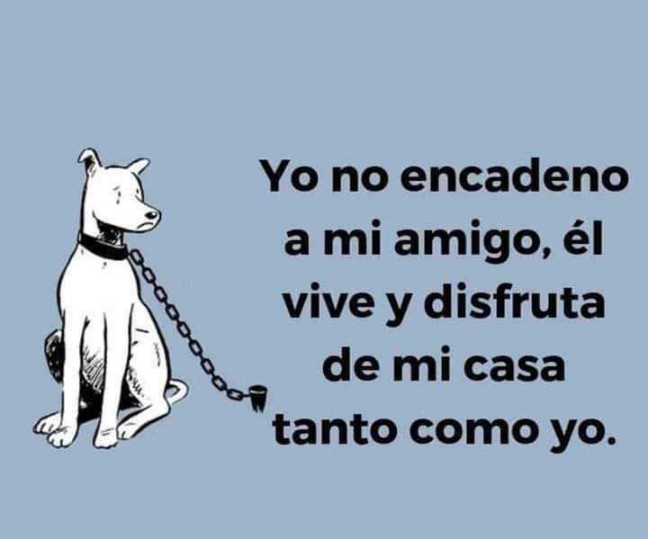 JuancitoGente's tweet photo. Para estado de WhatsApp 💜 https://t.co/AJbiwy2ZD3