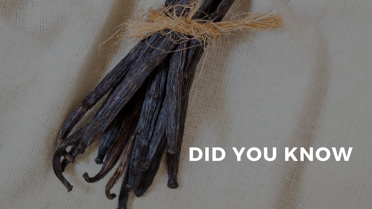ShanksFlavoring's tweet photo. Did you know - #Vanilla is not just used for flavoring desserts and baked goods? It is also popular in perfumes, candles, and body lotions!

#Vanillafacts #Shanks #DidYouKnow https://t.co/atu0TkxXhc