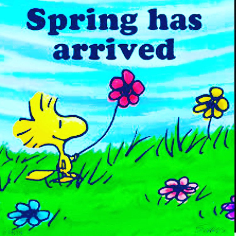 🌱Happy #SpringEquinox 2the Northern Hemisphere!😀🤸‍♀️
AKA the #AstronomicalSpring #VernalEquinox or the #MarchEquinox &officially marks the start of spring in the N Hemisphere. It brings longer daylight hrs& warmer temps & sprouting plants.
#SpringEquinox2023🌼
#HappySpringtime😎
