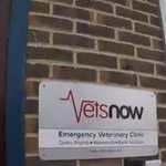 Photo by Vets Now ECC (@VetsNowECC)