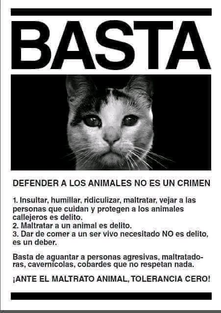 POR FAVOR, hagan campañas en los barrios, eduquen a niños para que no maltraten, ni maten gatos y perros. En los barrios venezolanos esto pasa a diario. HAGAN CÁRTELES, MANDEN EDUCADORES. ESOS NIÑOS SERÁN LOS CRIMINALES DEL FUTURO <a href="/TarekWiliamSaab/">Tarek William Saab</a>  
Ministerio Público
Miraflores