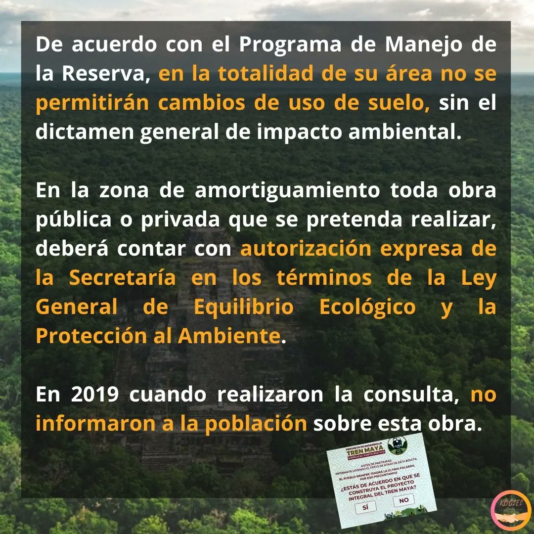 KoolelMuf's tweet photo. La construcción de un hotel dentro de la Reserva de la Biosfera #Calakmul como parte del proyecto #trenmaya representa una amenaza para el macizo forestal más grande de México y el segundo más grande de América.
#mujeresindígenas #Campeche https://t.co/y8TkhZ4yBf
