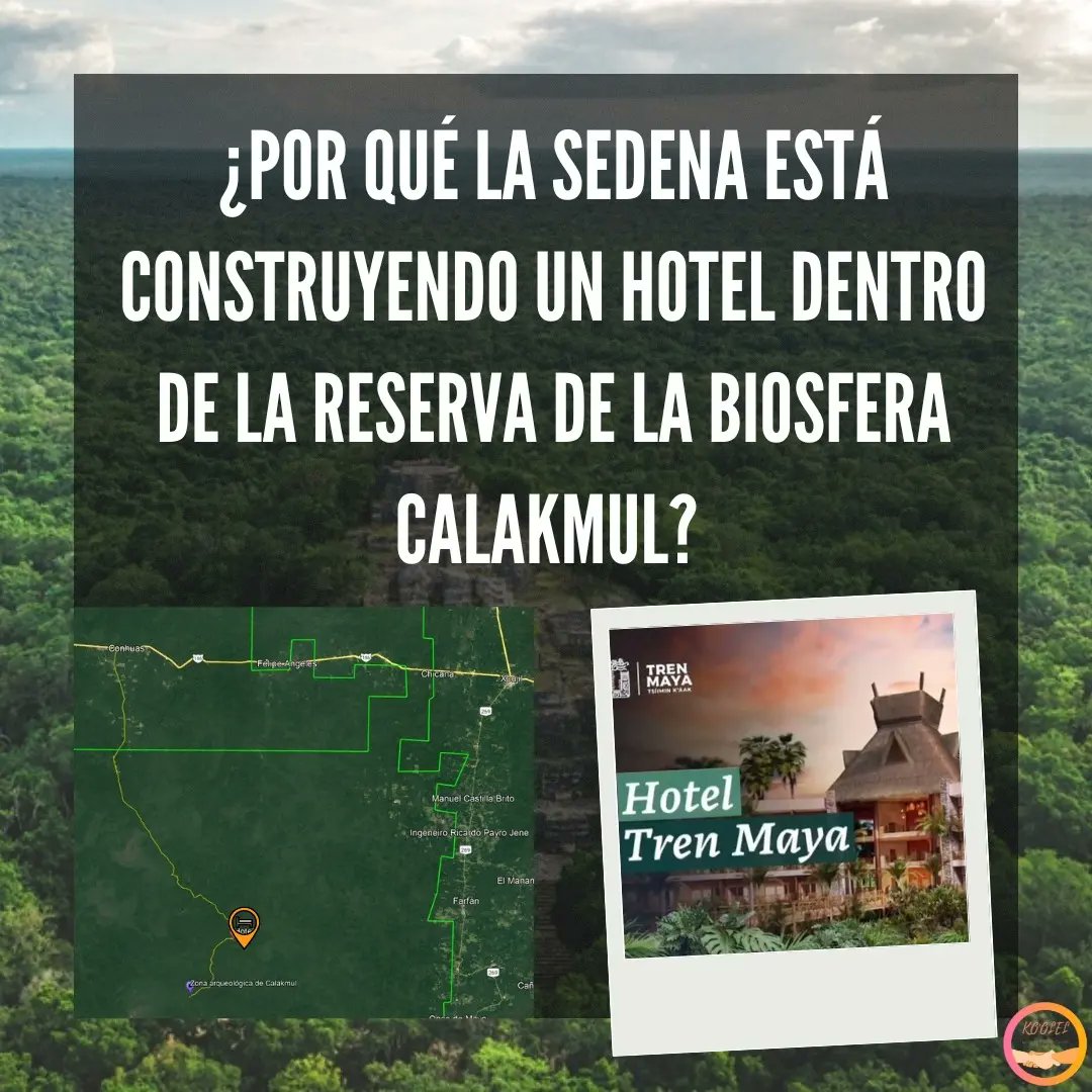 KoolelMuf's tweet photo. La construcción de un hotel dentro de la Reserva de la Biosfera #Calakmul como parte del proyecto #trenmaya representa una amenaza para el macizo forestal más grande de México y el segundo más grande de América.
#mujeresindígenas #Campeche https://t.co/y8TkhZ4yBf