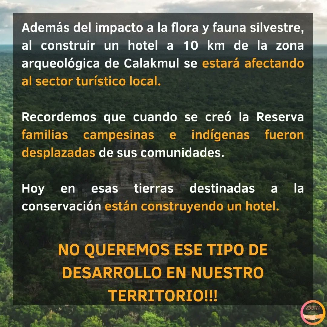 La construcción de un hotel dentro de la Reserva de la Biosfera #Calakmul como parte del proyecto #trenmaya representa una amenaza para el macizo forestal más grande de México y el segundo más grande de América.
#mujeresindígenas #Campeche
