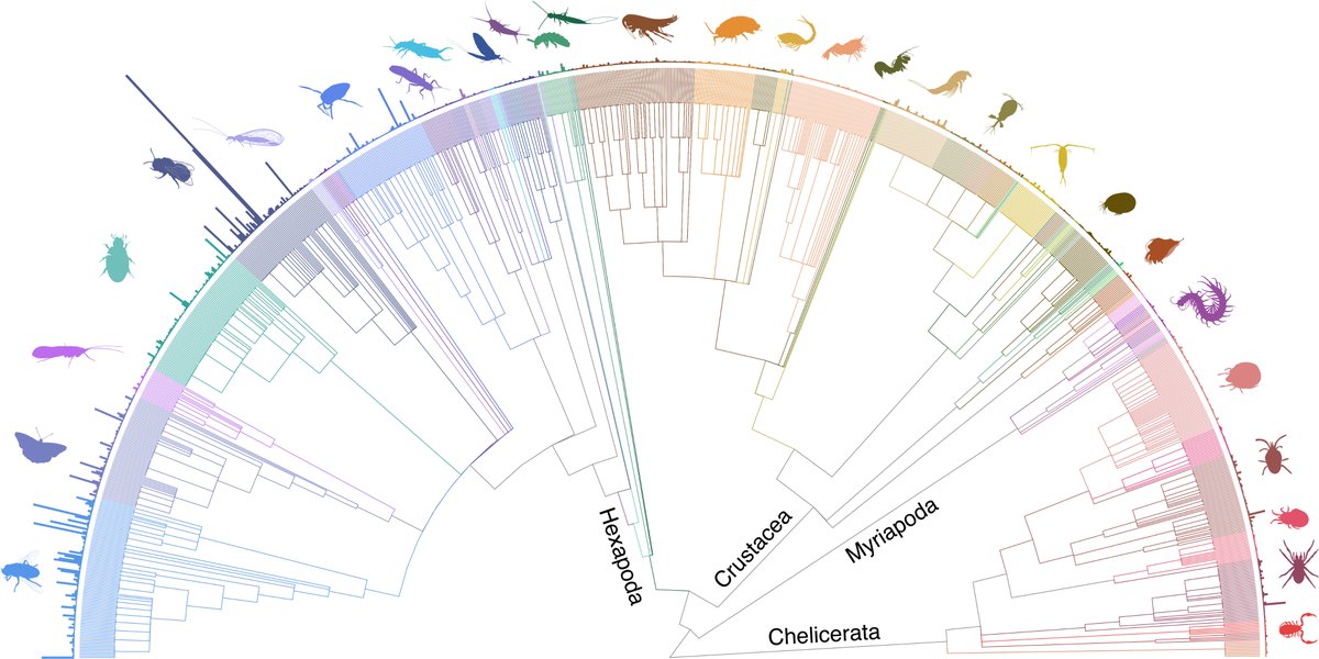 Liam_M_Crowley's tweet photo. A sampling strategy for genome sequencing the British terrestrial arthropod fauna - out now in Wellcome Open Research: https://t.co/ljdWvUtyMd https://t.co/yyrKQmW1V7
