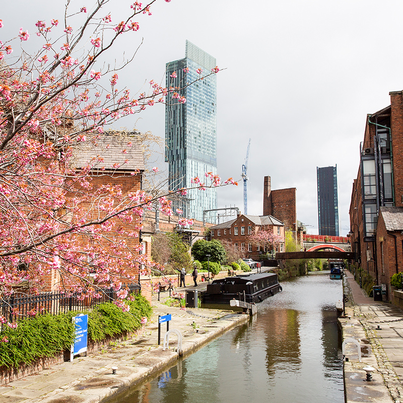nationaltrust's tweet photo. Have you heard the buzz? Blossom’s on its way.

Visit the National Trust website to discover all the places we care for where you’ll find blossom. #BlossomWatch