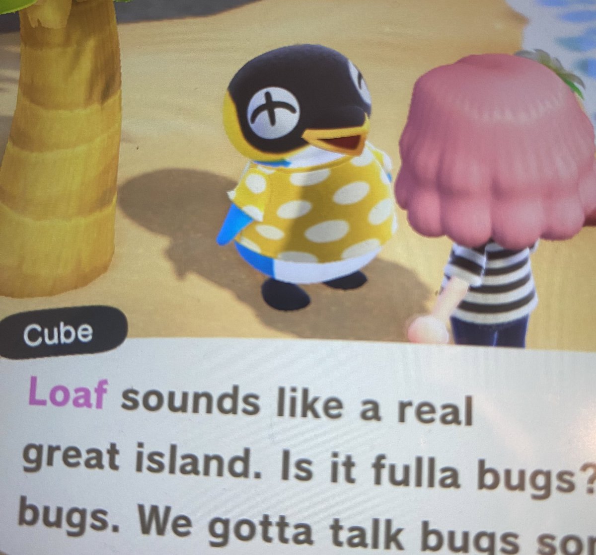 guqalt's tweet photo. i have been grinding on animal crossing for days to get aimee any penguin and i finally got one!! :D https://t.co/0NfeDoQk1s