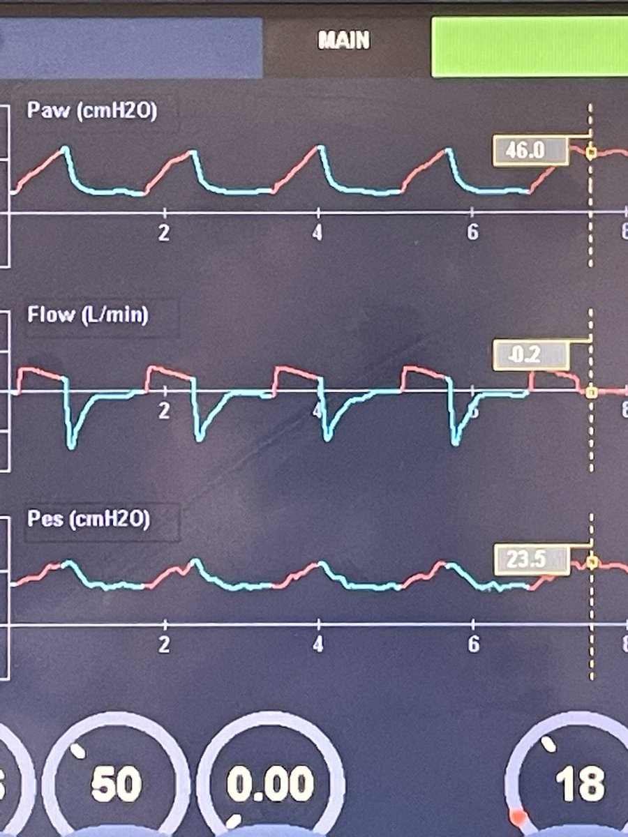 Jason N. Katz tweet media