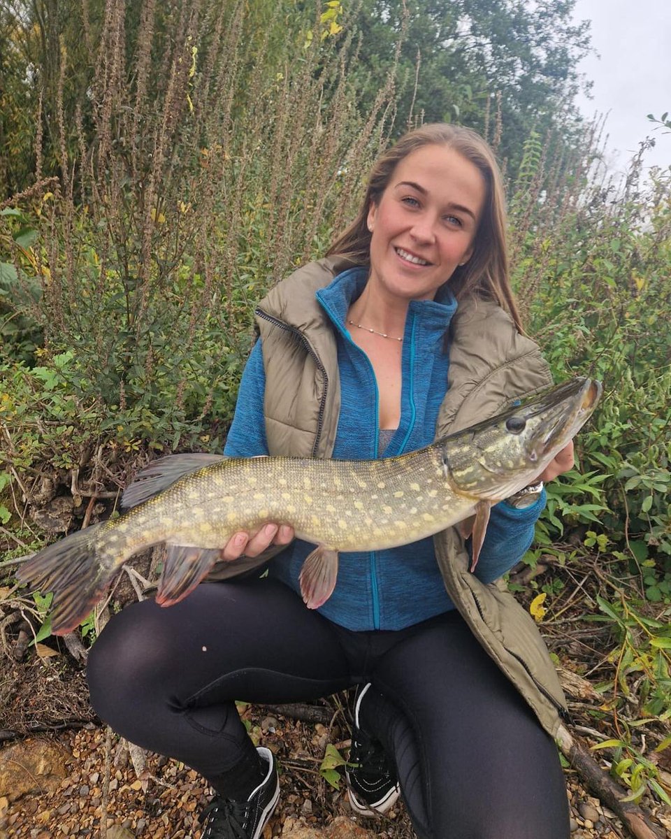 Lovely river pike today followed by a monster. Will be posting it tomorrow 🎣😊 what a perfect end to a Sunday. Hope everyone’s had a great weekend😁🎣

#carp #apexpredator #carpgirls #angling #doublerun #run #catchandrelease #onthebank #girlswhofish #pikeuk #fishing #lovetofish