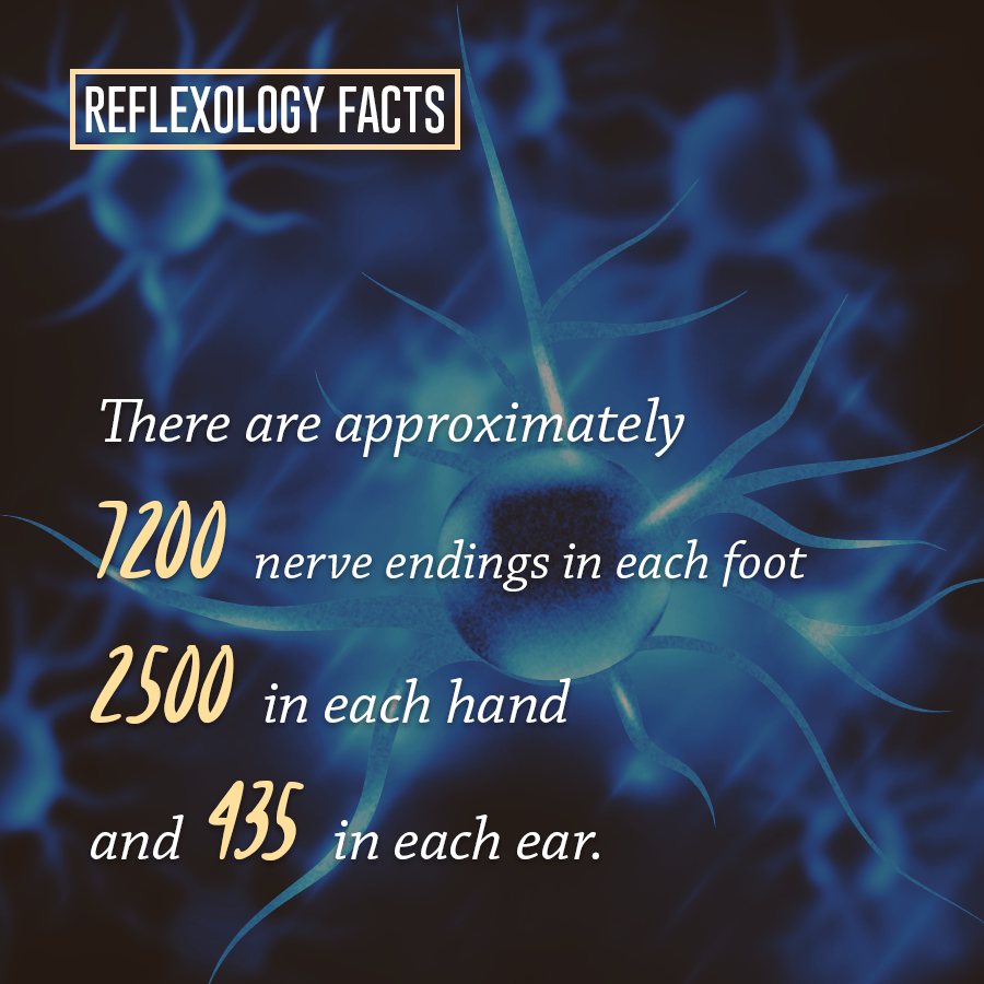 JustGoMIA's tweet image. It's lunchtime! Book a reflexology session today 🦶✋

⏰𝐁𝐲 𝐀𝐩𝐩𝐨𝐢𝐧𝐭𝐦𝐞𝐧𝐭 𝐎𝐧𝐥𝐲⏰
✅Book through Facebook Messenger
✅Or on our website here&amp;gt; t.ly/1B2N
✅FREE Consultation&amp;gt; t.ly/ux9m
✅Easy straight from your phone
✅Openings this week