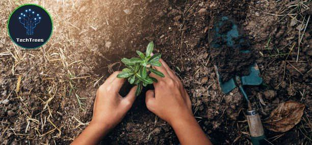 “In every walk with nature one receives far more than he seeks.'” – John Muir

One tree = one step closer to a greener future

Plant tree with #Techtrees 🌲 $TTC