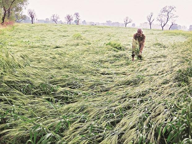PraveenTrksheel's tweet image. कितनी अजीब है ए खुदा तेरी ये बे-वक्त की बारिश।

अमीर पकोड़े खाने की सोचता है बर्बाद फसल देख किसान जहर॥
@PraveenTarksheel
 #kisan #kisanlife #haryana #rain