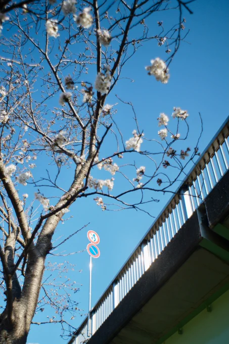 歩いたので 