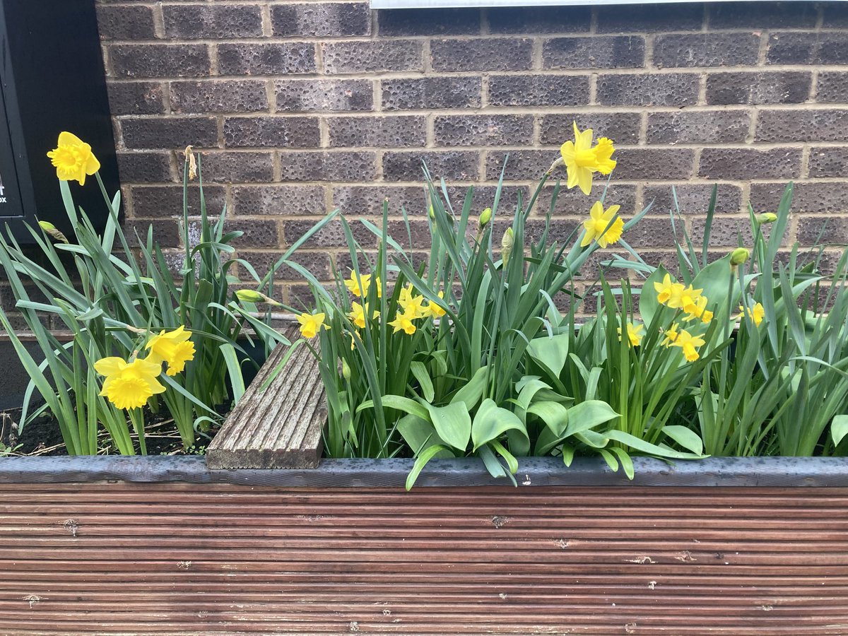 Farzana Hussain tweet media