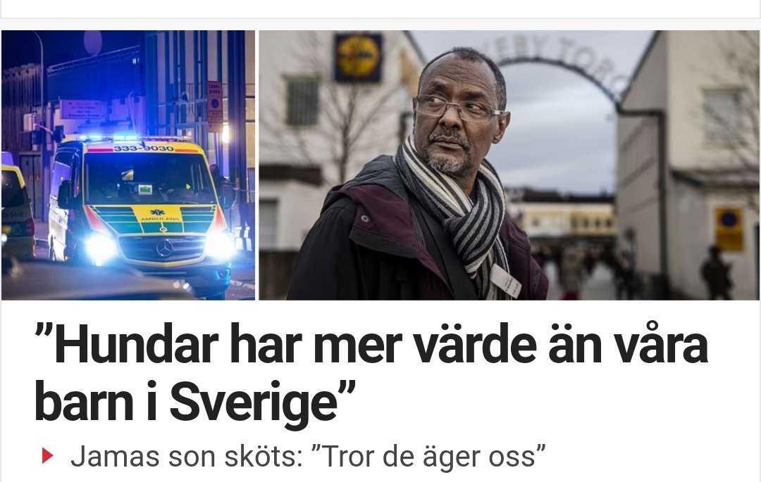Werwolf_30's tweet photo. Absolut är det så #utnu #inavlat #pack https://t.co/awFne1dtBi