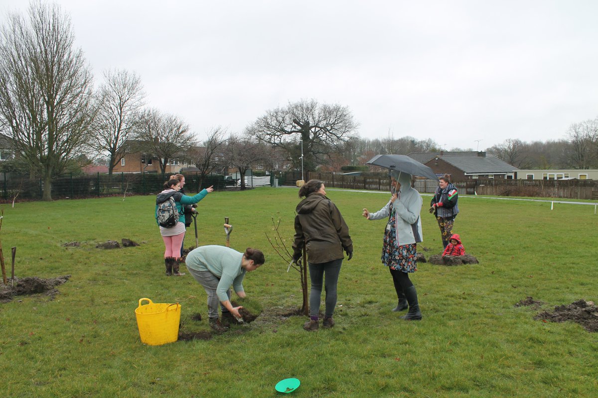 Hookstone Chase Primary School tweet media