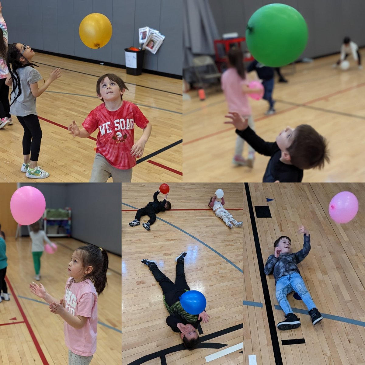 Waverly Physical Education tweet media