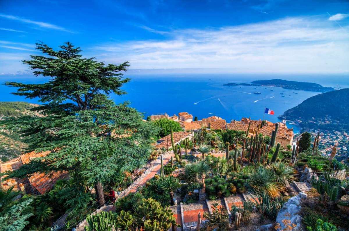 MonacoGrandTour's tweet photo. 🌴 Need exoticism? 

Make a stop at the exotic garden of Monaco and its botanical center. You will discover the most important collections of cacti in the world! https://t.co/42WnnwWTxT