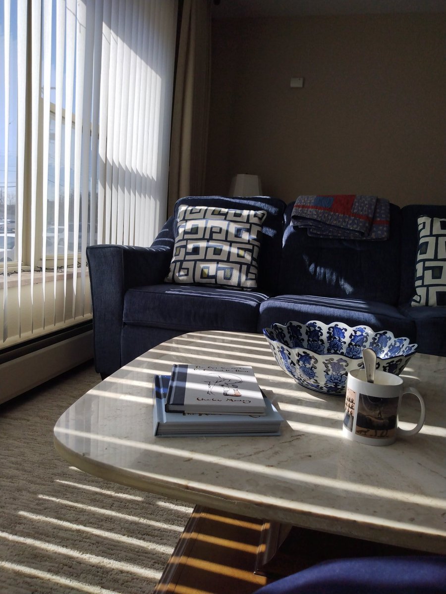 SrDorcee's tweet photo. Just sunning myself in this blue room. Happy first day of Spring! (Not included: the photo of snow outside. Gonna get a couple more inches this coming Saturday. #lifeinMichigan) https://t.co/6U6vf9KwCy