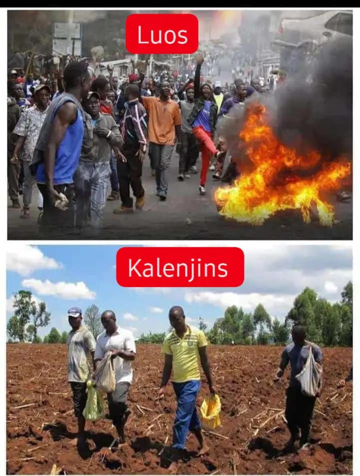 TheKaslim's tweet photo. Can you see the difference? https://t.co/4Py537HnWV