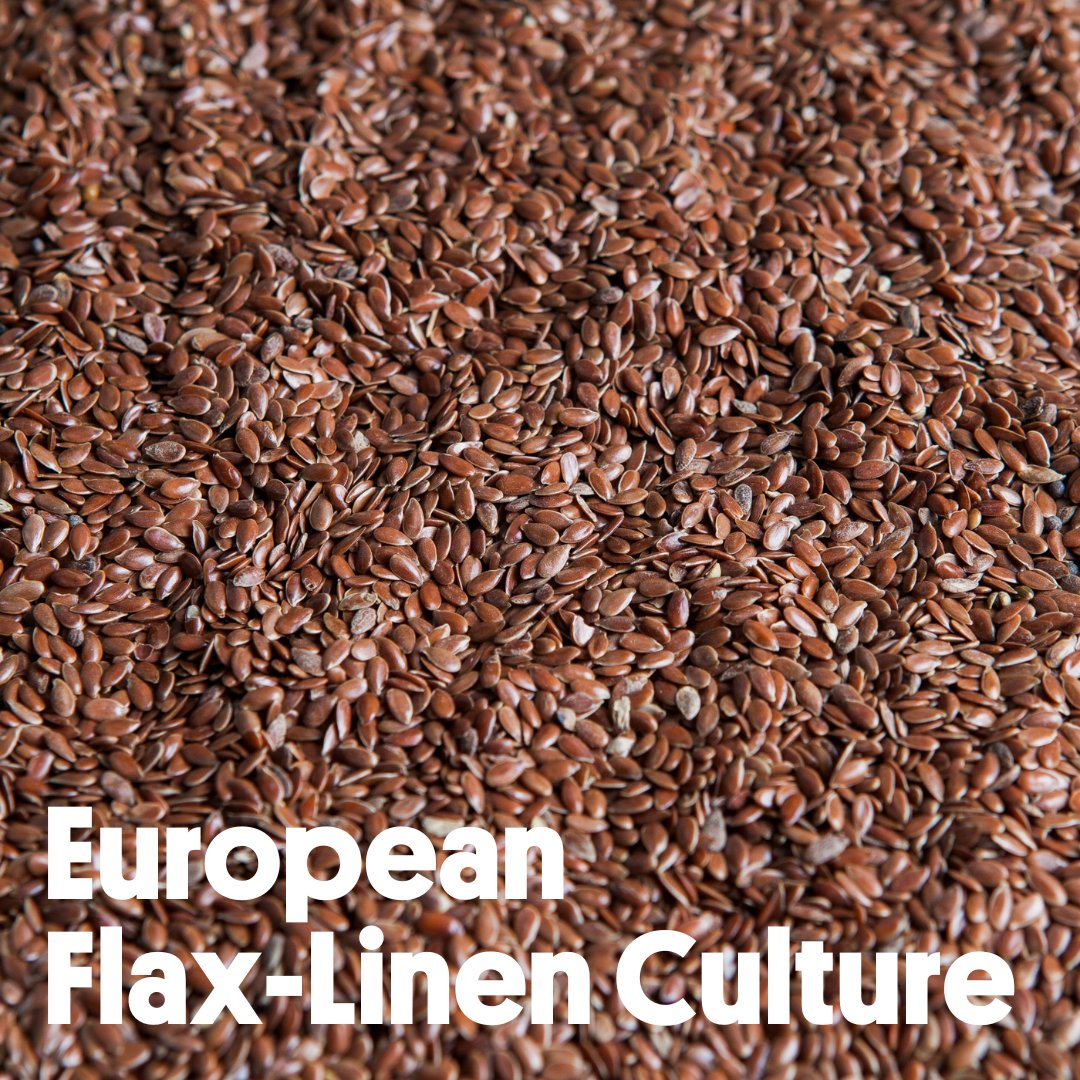 flaxlinenhemp's tweet photo. [#Culture] 🇬🇧 From mid-March, our flax-linen #farmers are already on the alert to sow #flax #linen🌱

The flax-linen will then be pulled out and placed on the ground for the retting stage, before being #scutched and then #combed

📸: @sebastienrande https://t.co/Q5BpeVMY7t
