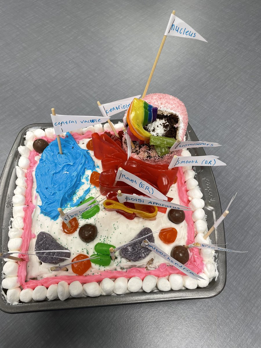 Kent Sikora (@coachsikora) on Twitter photo Engineering the Cell in Science-8 <a href="/TeachTCI/">TCI</a> <a href="/Matt_MoormanTCI/">Matt Moorman</a> <a href="/GSDacademics/">Scott Wagner</a> <a href="/superGSD/">Amy Conway</a> <a href="/Cassie1Eric/">Eric Cassie</a> <a href="/ShumateAP/">David Anderson</a> Engineering the Cell in Science-8 <a href="/TeachTCI/">TCI</a> <a href="/Matt_MoormanTCI/">Matt Moorman</a> <a href="/GSDacademics/">Scott Wagner</a> <a href="/superGSD/">Amy Conway</a> <a href="/Cassie1Eric/">Eric Cassie</a> <a href="/ShumateAP/">David Anderson</a>