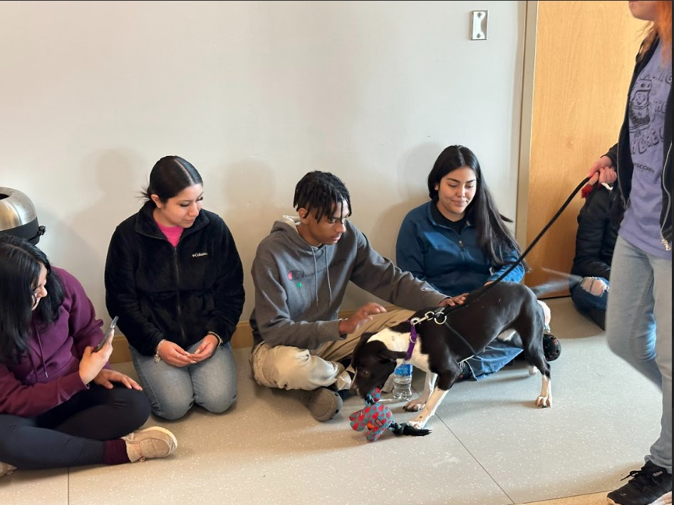 Academies of Racine - Park tweet media