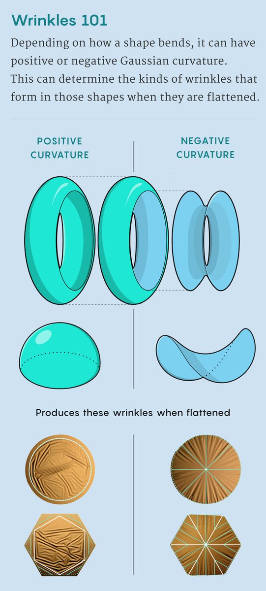 QuantaMagazine's tweet photo. Recent mathematical work shows that the way that a surface wrinkles depends on how the surface is curved. https://t.co/p0yEonVx30 https://t.co/Vivi7oe4ZF