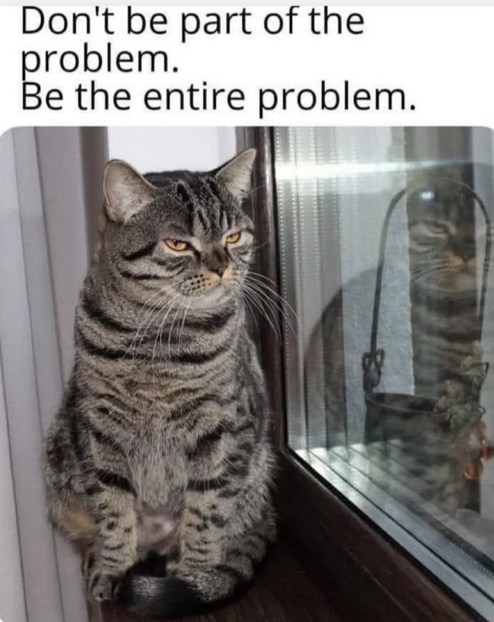 Chester (@kedichester) on Twitter photo 