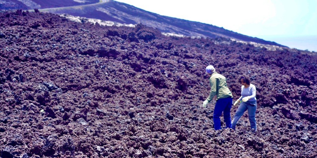 bugsexthedoc tweet media