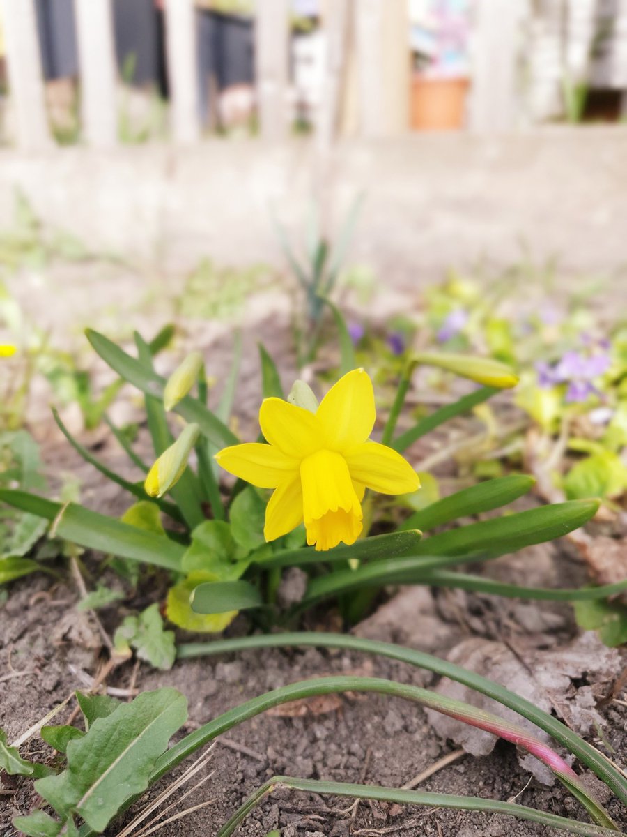 Happy Frühlingsbeginn! 💛💚

#InternationalDayOfHappiness #SpringHasSprung #WienLiebe #ViennaOffices #EurocommPR