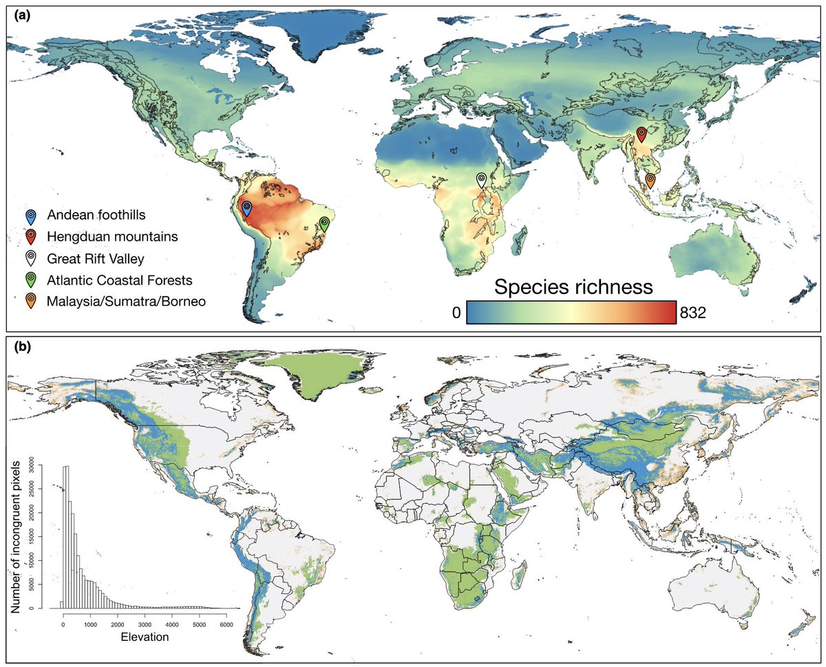 I am happy to share our paper about how "Mountains exhibit a stronger latitudinal diversity gradient than lowland regions" tinyurl.com/fdn3jch3

It's a result of several years of work with a great team from <a href="/inst_humboldt/">Instituto Humboldt</a> we hope you enjoy it!