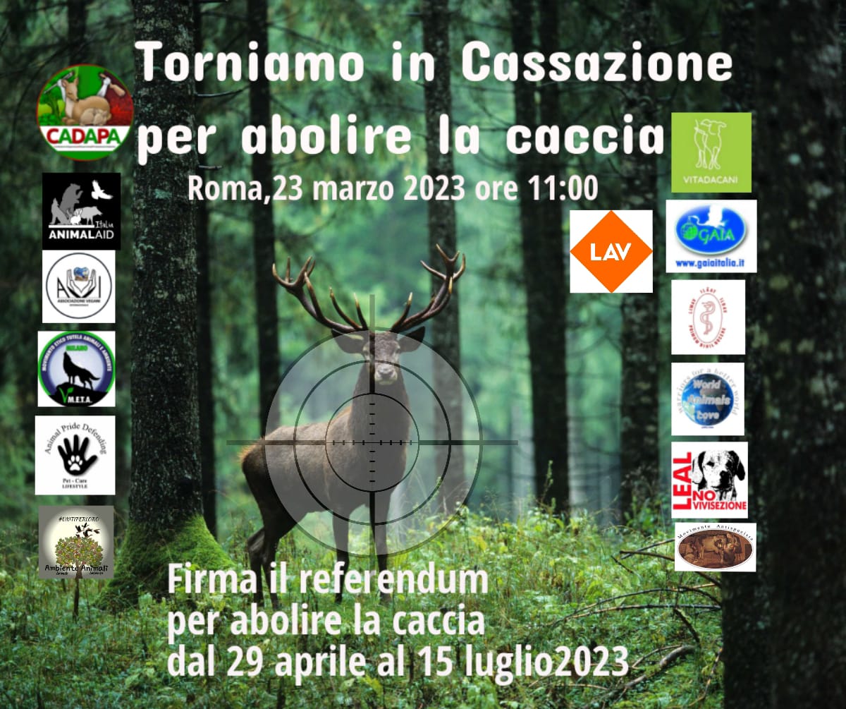 “COMUNICATO STAMPA DEL 20 MARZO 2023”

IL 23 MARZO, ALLE ORE 11, IN CASSAZIONE PER DEPOSITARE IL TESTO AGGIORNATO DEL REFERENDUM ABOLIZIONE CACCIA;
ALLE ORE 14, CONFERENZA UFFICIALE, 
IN SALA STAMPA CAMERA DEI DEPUTATI .

Leggi Tutto : ⬇️
m.facebook.com/story.php?stor…