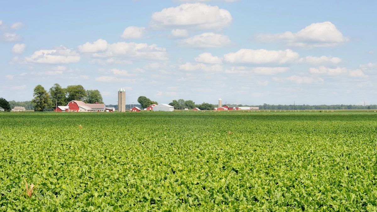 ACCE Foundation tweet media