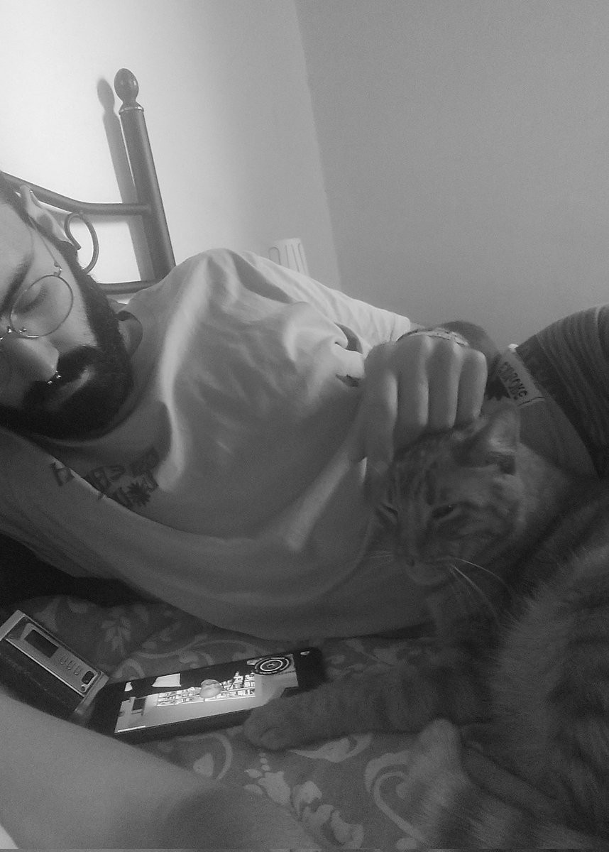 Alejandroo_glez's tweet photo. mis mejores tardes son así: 💜🐱 https://t.co/SgkRgE74rH