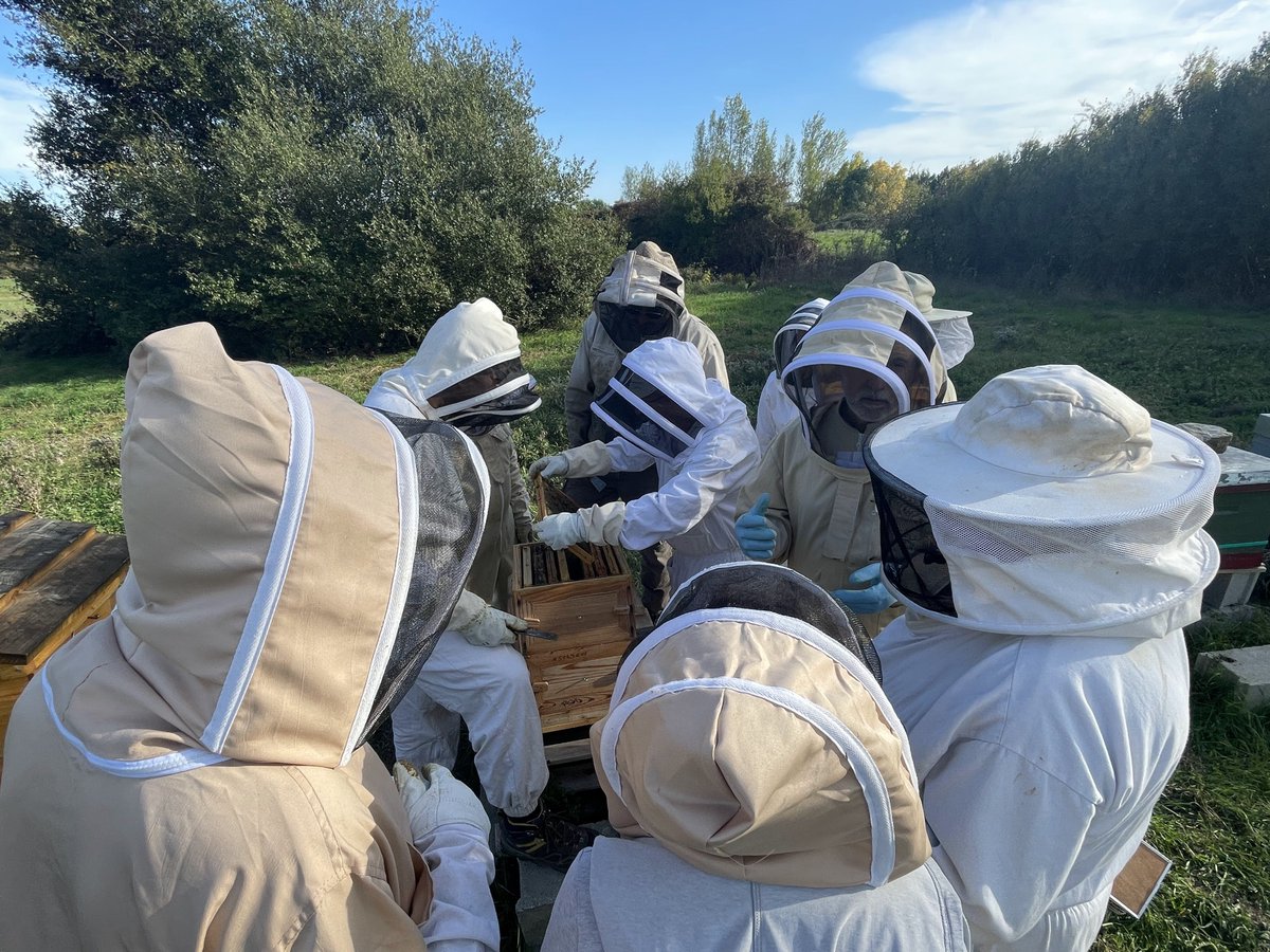 MyTreeFrance's tweet photo. Une nouvelle haie pour les abeilles 🐝

🌳En mars, plusieurs volontaires de l’association SoApi ont mis la main à la terre pour planter une haie de 200 plants. 
Les essences végétales ont des périodes de floraison différentes pour nourrir les abeilles toute l’année. 

#apiculture https://t.co/FfJ5HYfcP6