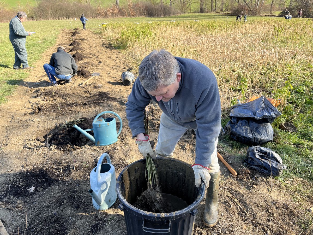 MyTreeFrance's tweet photo. Une nouvelle haie pour les abeilles 🐝

🌳En mars, plusieurs volontaires de l’association SoApi ont mis la main à la terre pour planter une haie de 200 plants. 
Les essences végétales ont des périodes de floraison différentes pour nourrir les abeilles toute l’année. 

#apiculture https://t.co/FfJ5HYfcP6