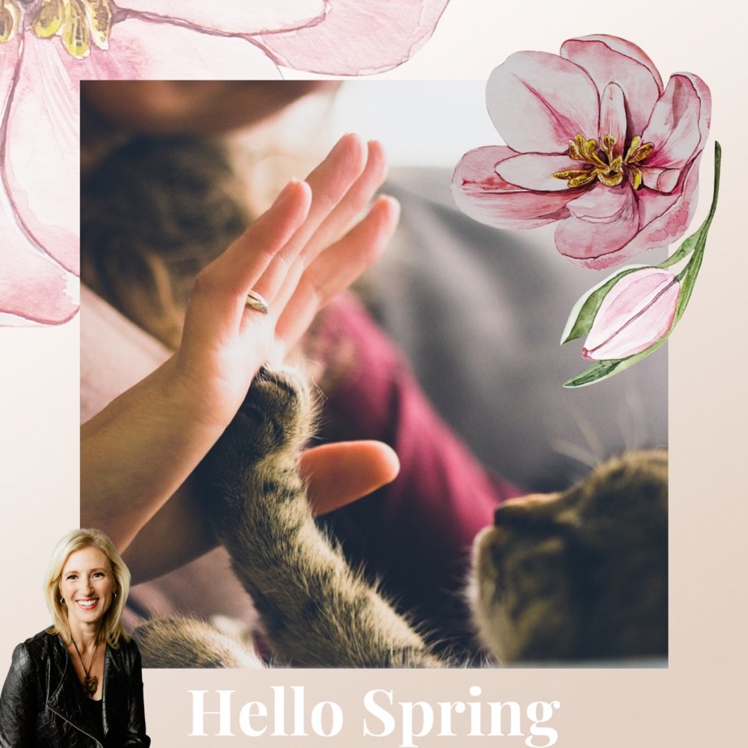 Happy first day of Spring 🌷

Spring time brings fresh starts, growth, and warmer days ahead.

If you are looking for that new beginning in a  home, I am here to help you find the purrfect program that fits your needs.

Call me today to begin this exciting, new chapter! 🏡✨