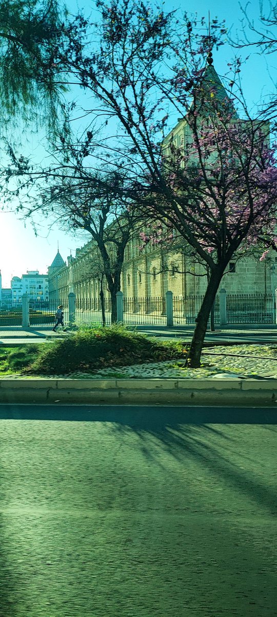 paulaglez_'s tweet photo. pero esq no hay na como mi sevilla en primavera https://t.co/ymHdw6BWW5