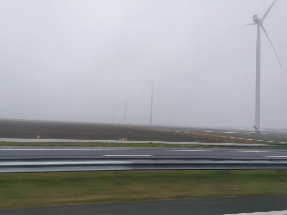 Joey Ferwerda tweet media