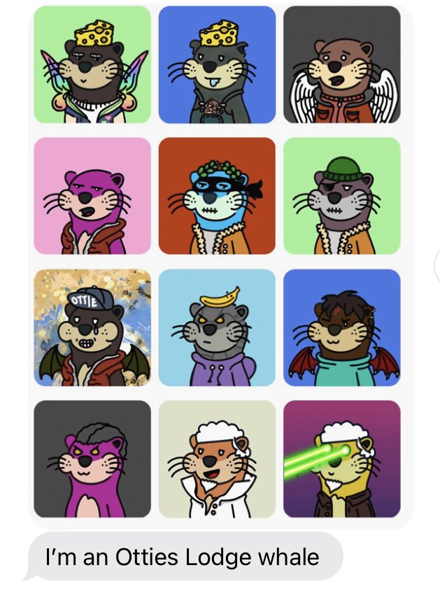 Ottie's Lodge | Minting Now tweet media