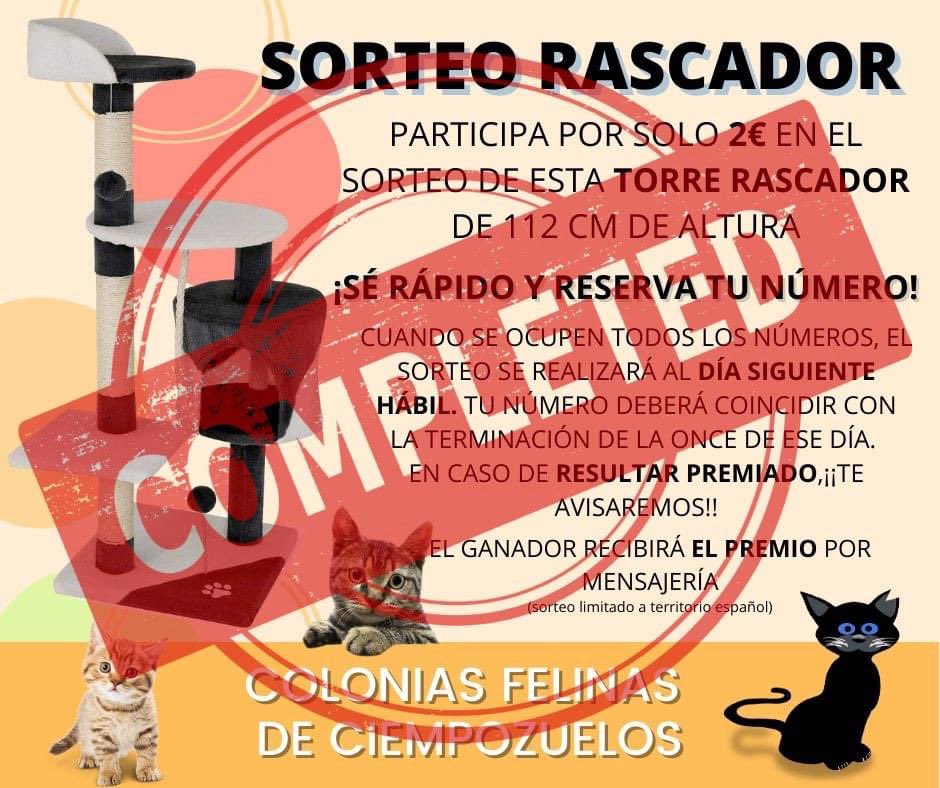 Colonias Felinas Ciempozuelos tweet media