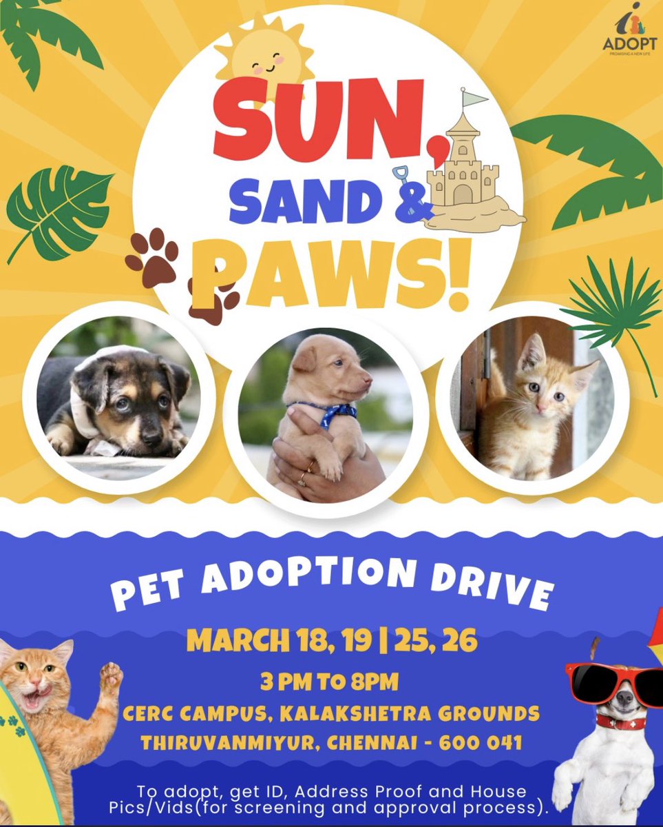 RJ_Ananthi's tweet photo. Love can't be bought but you can adopt❤️
@iadopt_in 
#adoptdontshop https://t.co/JKdirsUlbi