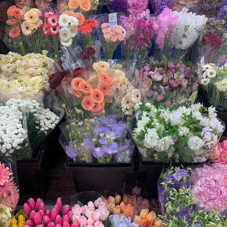 lunafleuri's tweet photo. My kind of theraphy. https://t.co/Q625XpUIEm