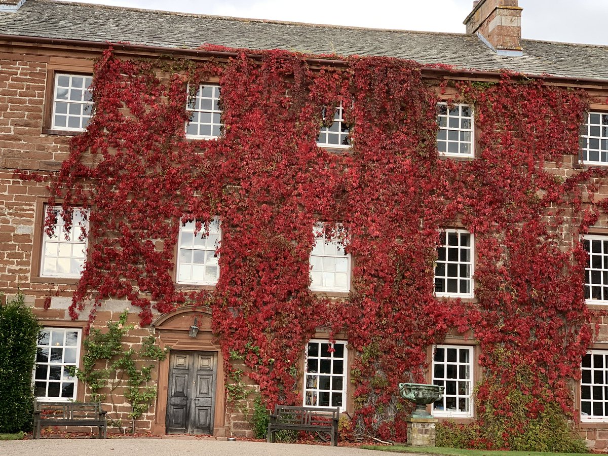 Heather Birkett (@heatherbirkett1) on Twitter photo 