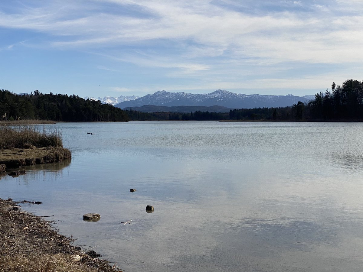 planwerk's tweet photo. @bergblick6588 @Muschelschloss Samstag war klasse Wetter. Hier der Bergblick an den #Osterseen bei #Iffeldorf https://t.co/HOjnOSKEsd